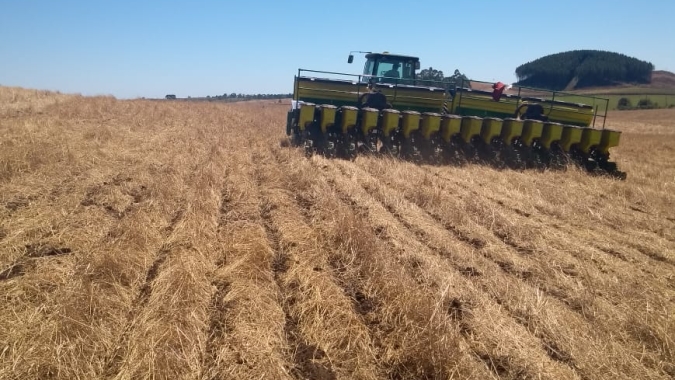 Emater/PR aponta erro estratégico para os plantios antes das chuvas e considera alto o risco de perdas para safra 19/20
