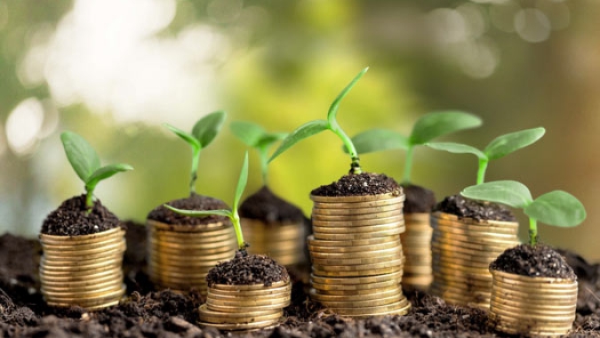 IPPA/Cepea: Índice de Preços ao Produtor de Grupos de Produtos Agropecuários segue em queda em setembro