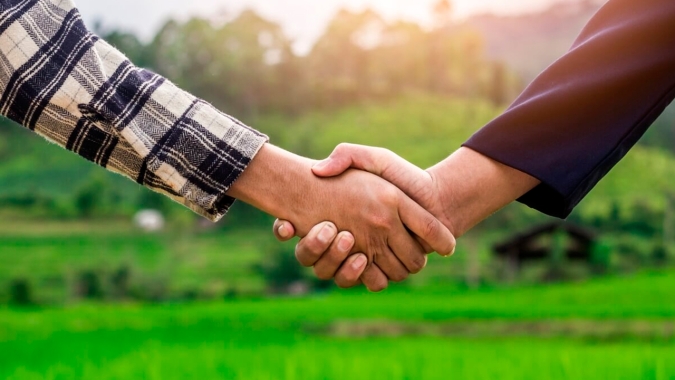 Recuperação judicial no agro em 2024: como a inteligência analítica prevê e mitiga riscos no segmento