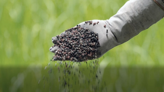 Comissão de Agricultura aprova projeto que zera PIS/Cofins para adubos e fertilizantes