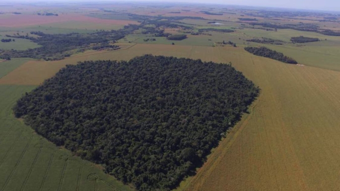 FPA: Tese de “identidade ecológica” é derrubada no STF e garante maior segurança jurídica aos produtores rurais em todo o país