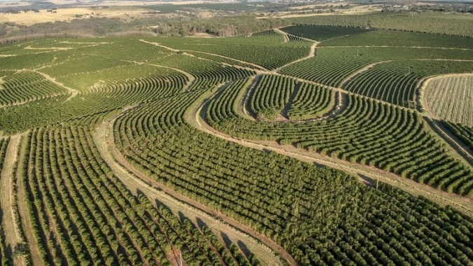 CNA e Embrapa lançam projeto para fortalecer regularização ambiental na agropecuária