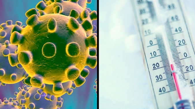 P1, a variante brasileira da covid é mais transmissível e pode causar reinfecção (no Poder360)
