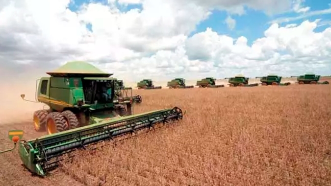 Mercado espera corte expressivo na produção de soja dos EUA em relatório do USDA que deve reduzir área e produtividade