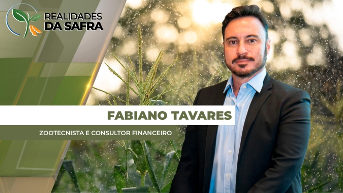 Sudoeste de Goiás deverá registrar redução na área de milho safrinha em função das chuvas comprometendo plantio
