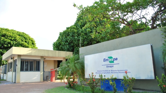 Embrapa Amapá inicia 2026 com novos gestores