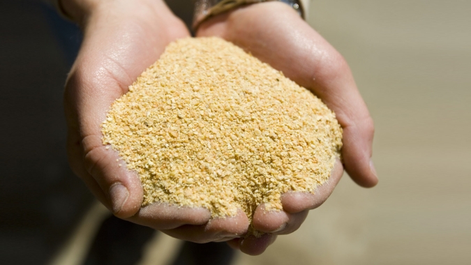 USDA informa venda de farelo de soja para a Polônia nesta 4ª feira