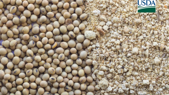 USDA informa nova venda de farelo às Filipinas nesta 6ª feira (5)