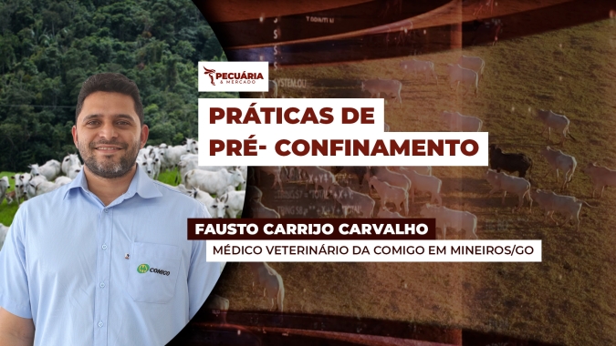 Adoção de práticas no pré-confinamento ajudam a otimizar resultados dos animais