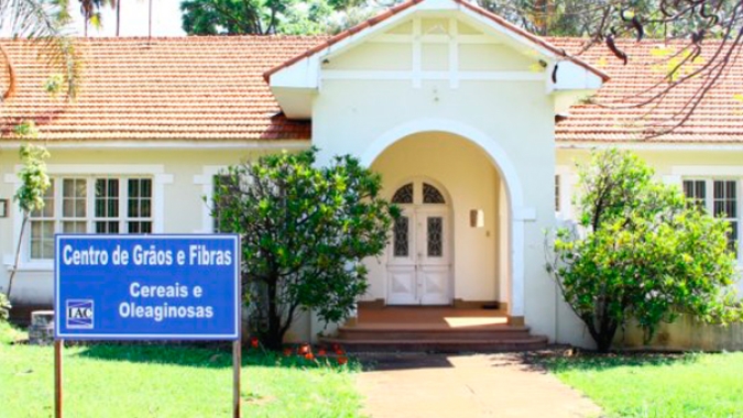 Faesp pede ao governador de São Paulo revisão da venda de fazenda dedicada à pesquisa do café