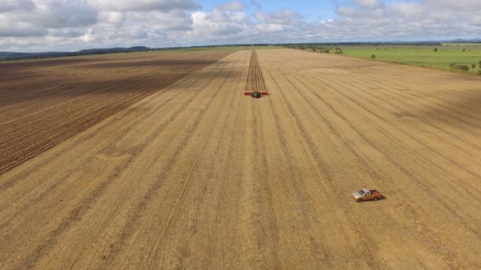 Plantio de milho 2ª safra atinge 3/4 da área; janela ideal se fecha, diz AgRural