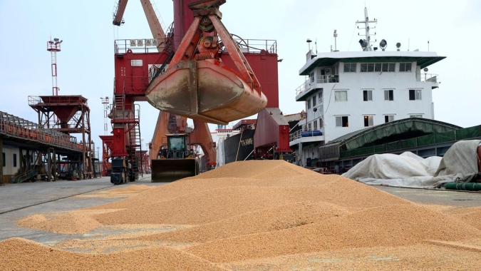 Agro brasileiro tem exportações de US$ 11,3 bilhões em julho