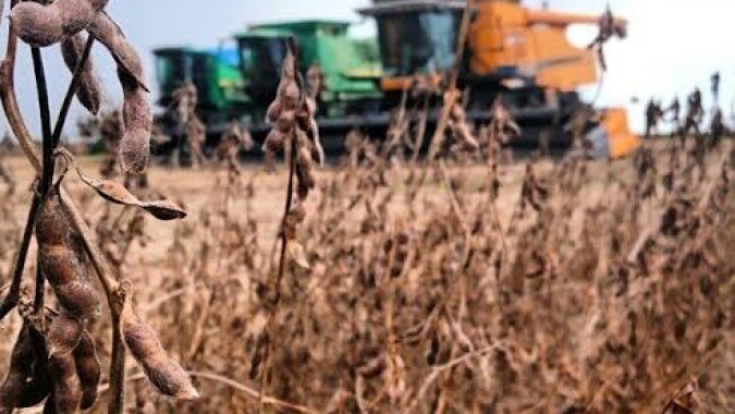 Conab: Com novo recorde, produção de grãos na safra 2022/23 chega a 322,8 milhões de toneladas