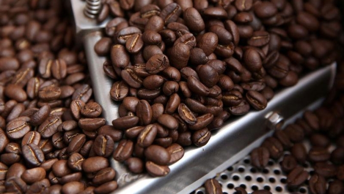 Clima adverso, com calor intenso em fevereiro, afeta lavouras de café, diz Cooxupé