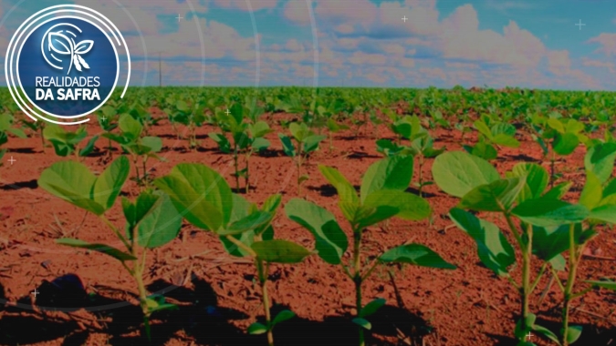 Com plantio da soja já encerrado, Campos de Júlio /MT espera manutenção das chuvas até dezembro para boa produtividade