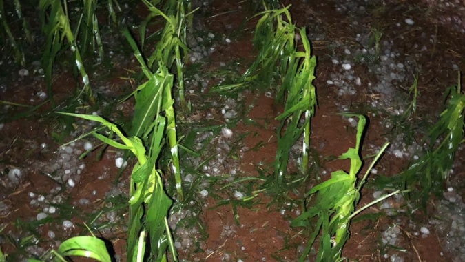 Mato Grosso e Mato Grosso do Sul podem ter novas chuvas de granizo nesta 3ª; temperaturas caem no Sul