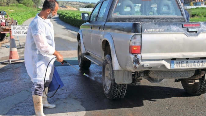 Febre aftosa avança em Chipre e atinge suinocultura em meio a cenário sanitário complexo