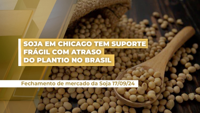 Soja em Chicago tem suporte frágil com atraso do plantio no Brasil; volta das chuvas pode levar grão para os US$9,50/bushel
