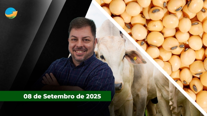 Farelo de soja sobe com cenário político conturbado na Argentina e puxa grão; arroba do boi gordo começa a semana em queda em SP