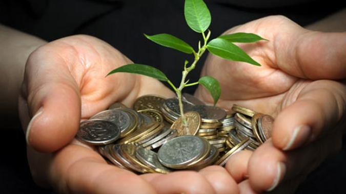 PIB-Agro: Ramo pecuário cresce e mantém elevação do PIB