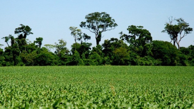 Segurança jurídica e desburocratização dos trâmites serão pilares do Licenciamento Ambiental