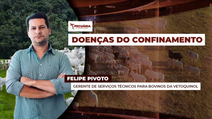 Especialista traz dicas para evitar a pododermatite, doença dos cascos, comum em confinamentos