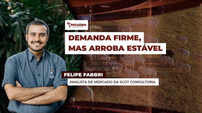 Consumo de carne no início de julho pode limitar novas quedas, mas não garante retomada das altas da arroba