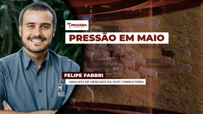 Oferta concentrada de animais pressiona arroba do boi e cenário fica mais complexo com fim das cotas chinesas
