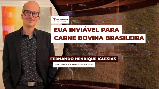 Carne bovina brasileira com tarifa de 76% perde competitividade no mercado americano