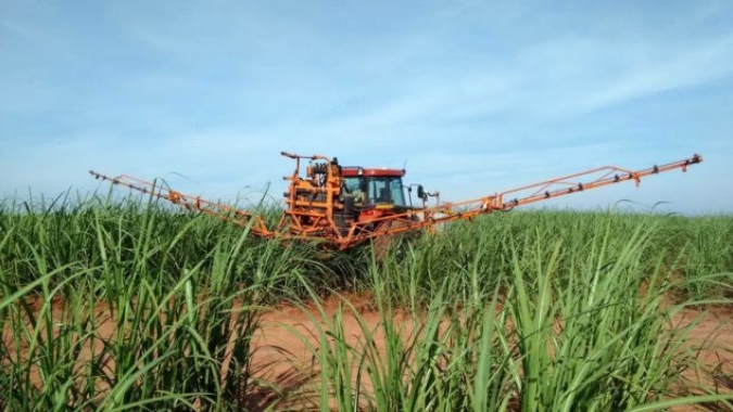Cana: Conab não vê falta de insumos na safra 2021/22, mas 22/23 já registra altos preços e entregas lentas