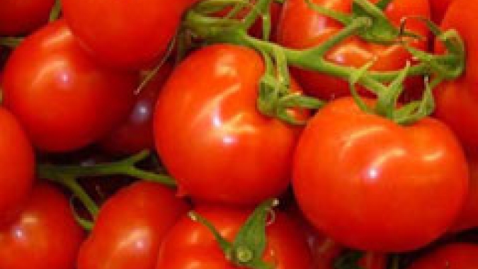 Tomate/Cepea: Oferta elevada mantém pressão sobre cotações