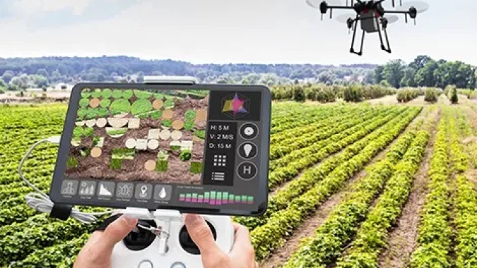 Embratel lança solução de Inteligência Artificial para manejo estratégico de plantas daninhas nas culturas de soja e cana-de-açúcar  