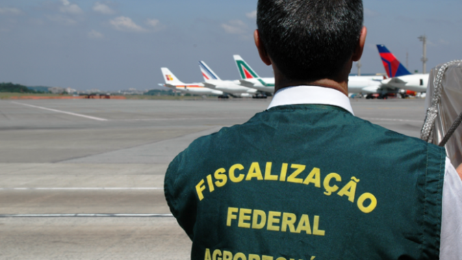 Com déficit de auditores agropecuários, aeroportos brasileiros enfrentam desafios na fiscalização de produtos de origem animal e vegetal