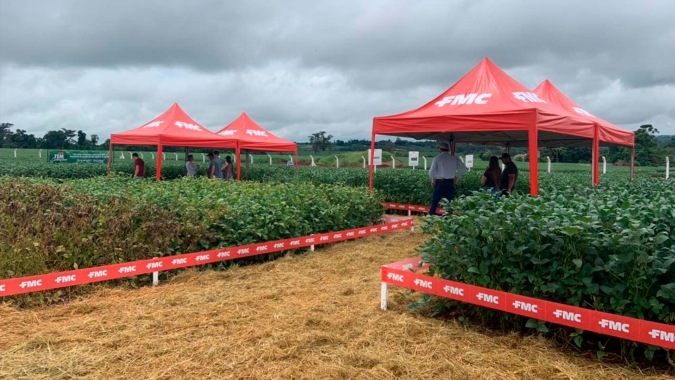 Atraso no plantio da soja fez aumentar casos de ferrugem asiática no Paraná. Pesquisadores também alertam para risco de percevejo barriga verde no milho