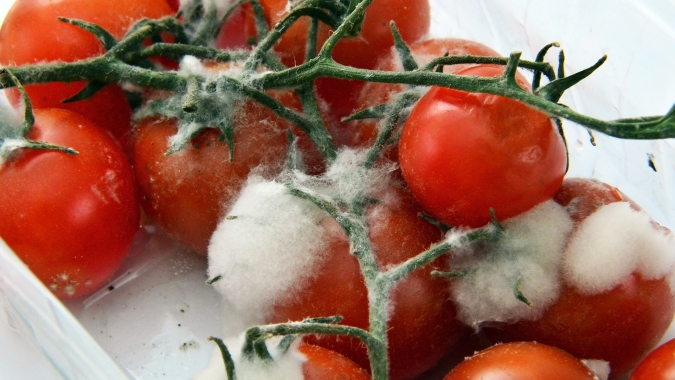 Qual o papel da logística na prevenção de doenças causadas por alimentos contaminados?