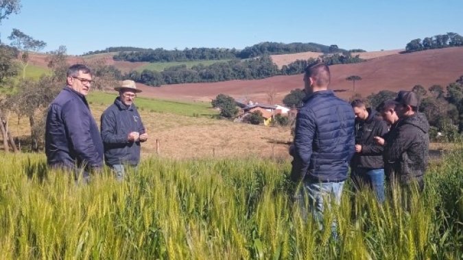 Novas tecnologias de produção com forrageiras no inverno trazem resultados a produtores de leite em Serafina Corrêa/MT