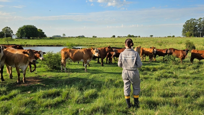 Afagro alerta para risco de precarização da Defesa Agropecuária