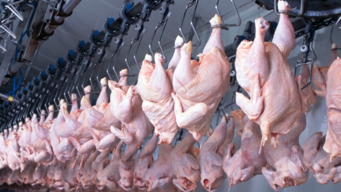Perto de julho chegar ao fim, exportações de carne de frango ainda não 'empataram' com os resultados de julho do ano passado