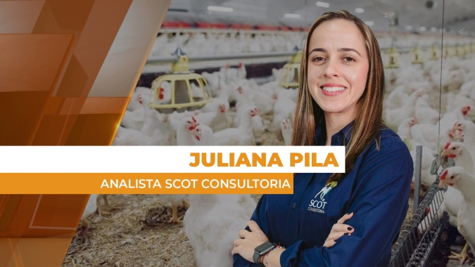 Preços do frango no atacado paulista são sinais de melhora neste início de fevereiro