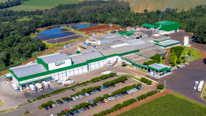 Friella abate 4 mil suínos/dia e supera 450 toneladas de produção, consolidando expansão no mercado nacional