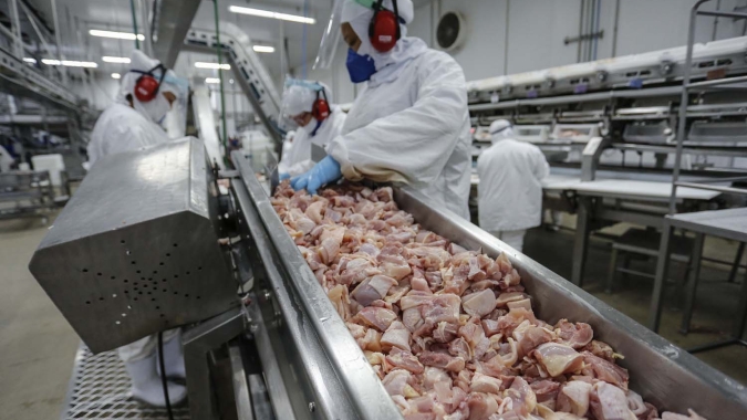 ABPA: Exportações de carne de frango crescem 4,2% em maio