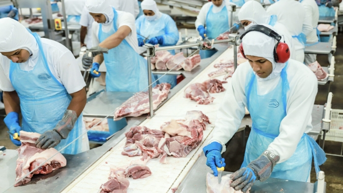 Arrecadação com exportações de carne suína em 19 dias úteis já supera em 36,98% todo o faturamento de outubro/23