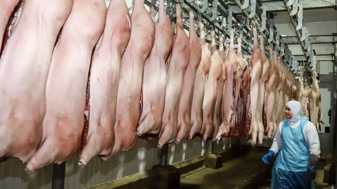 Exportações de carne suína iniciam janeiro com preço da proteína abaixo de janeiro/2023