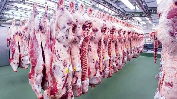 Governo ajusta controles de exportação de carnes para atender exigências contra antimicrobianos da UE