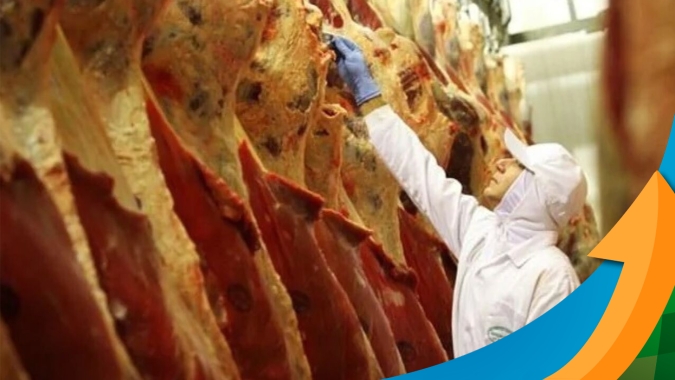 Safras e Mercado estima aumento de 2,27% no abate de animais em 2024 com destaque para o primeiro semestre do ano