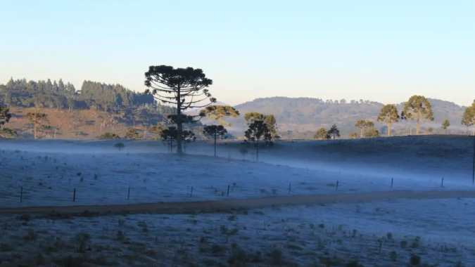 Frio avança e região Sul volta a entrar em alerta para geadas