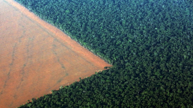 Acordo de cooperação renova  parceria entre Embrapa e WWF-Brasil