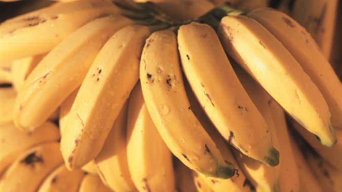 Banana/Hortifruti: Oferta está baixíssima em Linhares (ES)