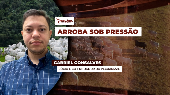 Suporte dos R$300,00 da arroba pode ser rompido com cenário de incerteza e pressão dos frigoríficos