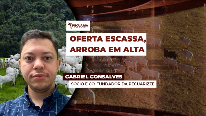 Especialista alerta para a dificuldade em encontrar bois para exportação e  o reflexo na valorização da carne no mercado internacional